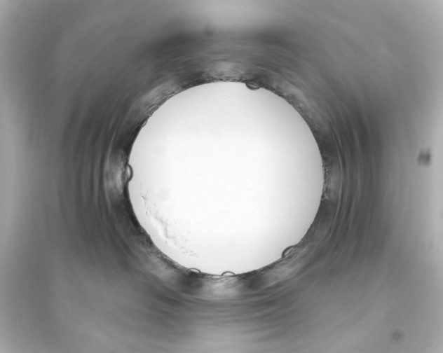 X0000093590334200711121130