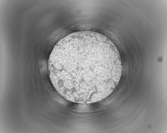 X0000093590335200711121130