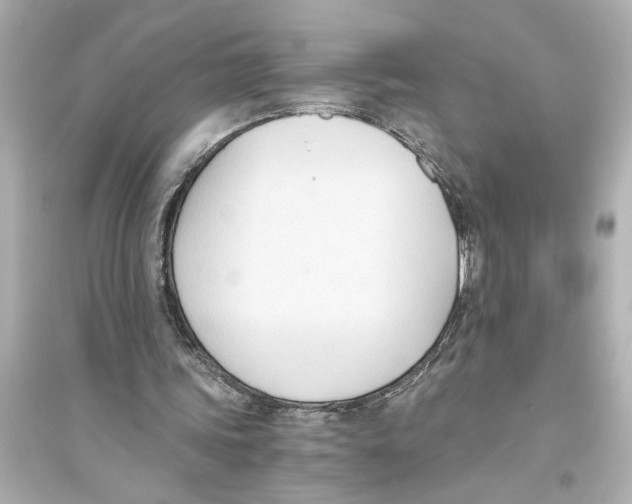 X0000093590339200711121130