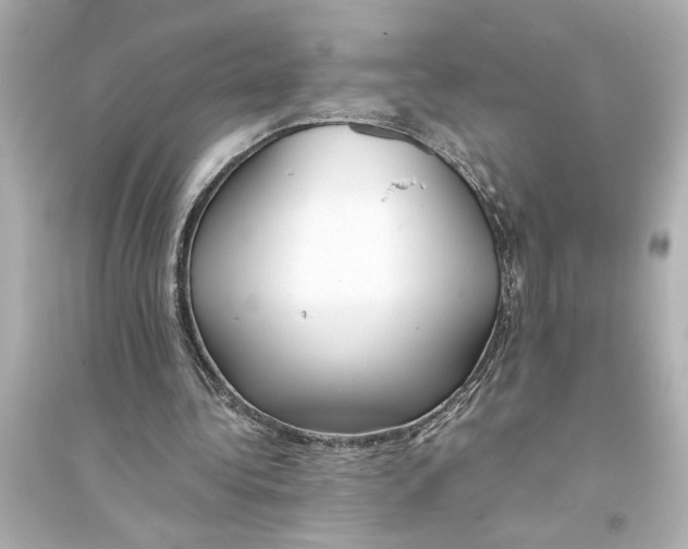 X0000093590340200711121130