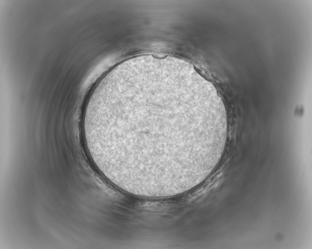 X0000093590341200711121130