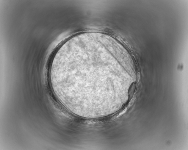 X0000093590343200711121130