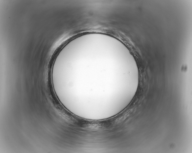 X0000093590344200711121130