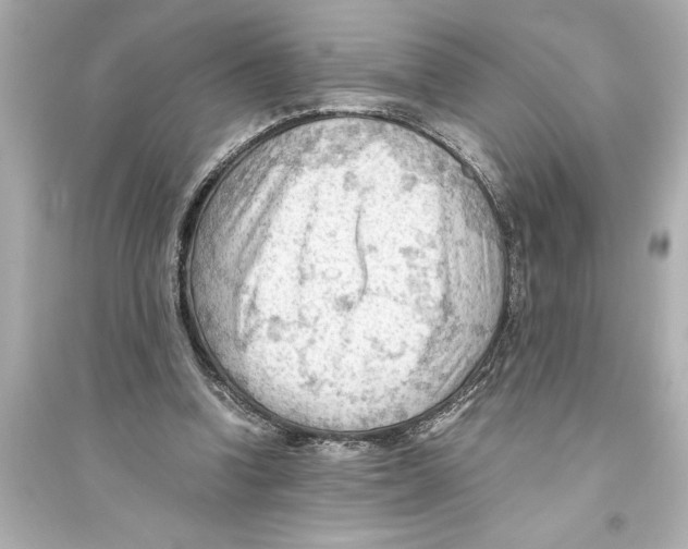 X0000093590346200711121130