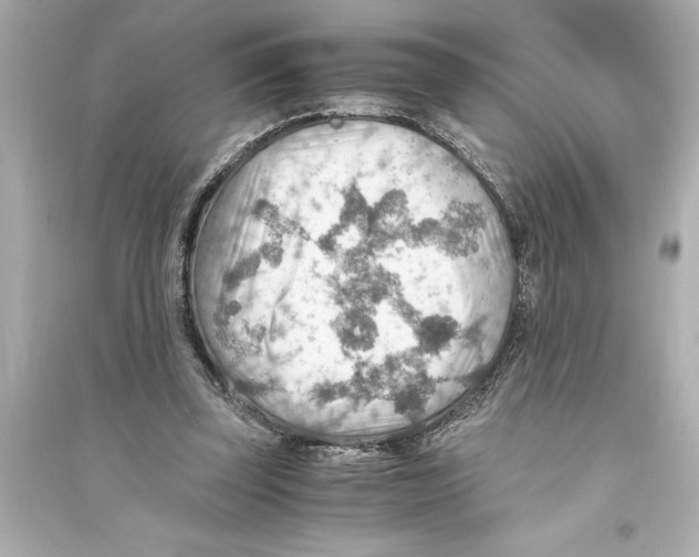 X0000093590347200711121130