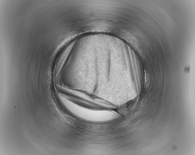 X0000093590348200711121130