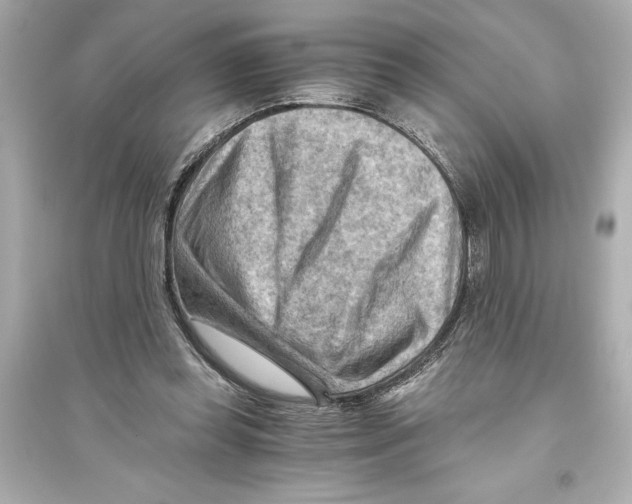 X0000093590349200711121130