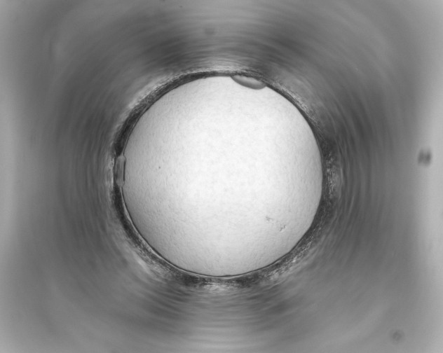 X0000093590350200711121130