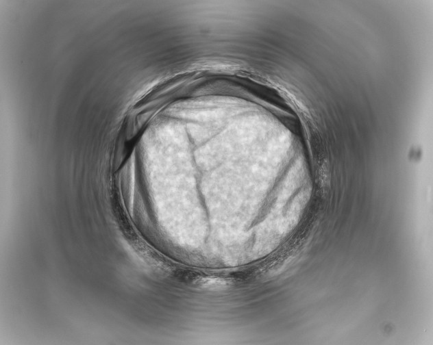 X0000093590352200711121130
