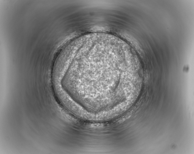 X0000093590353200711121130