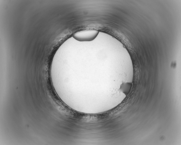 X0000093590354200711121130