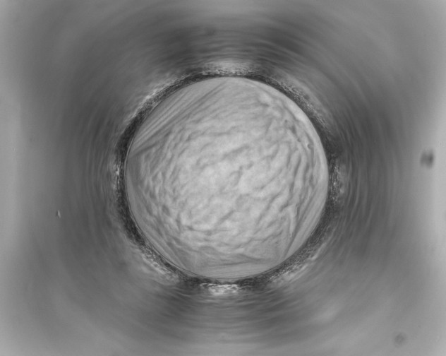 X0000093590355200711121130