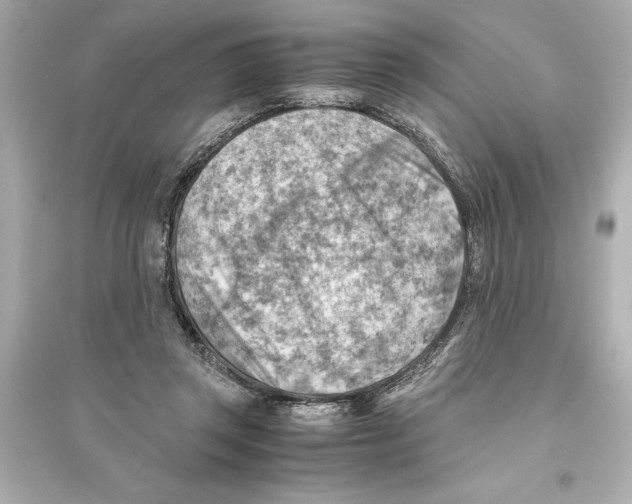 X0000093590357200711121130
