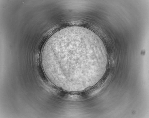 X0000093590360200711121130