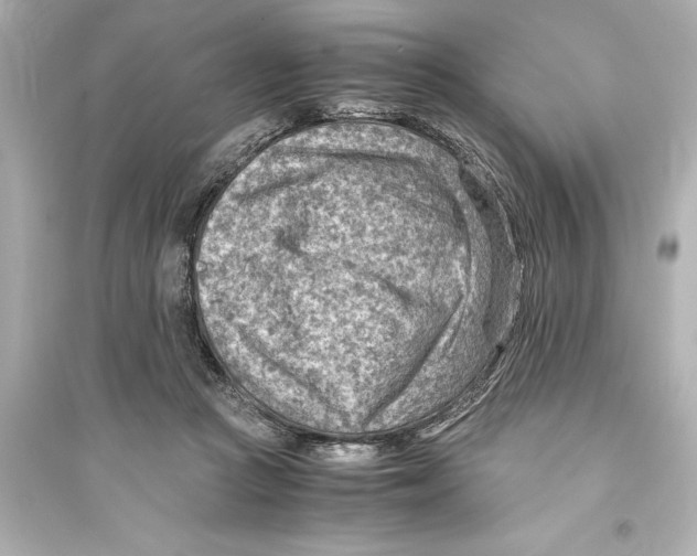 X0000093590361200711121130
