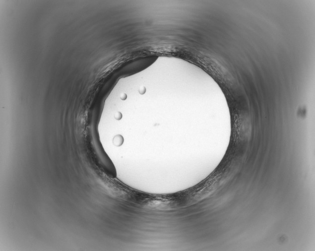 X0000093590364200711121130