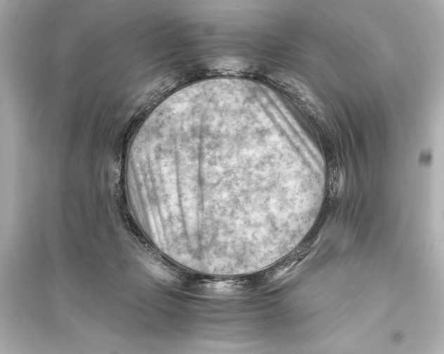 X0000093590365200711121130