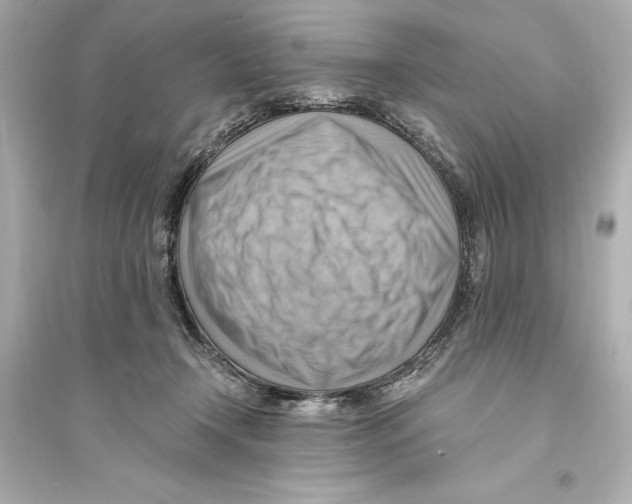 X0000093590366200711121130