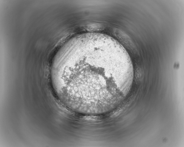 X0000093590367200711121130