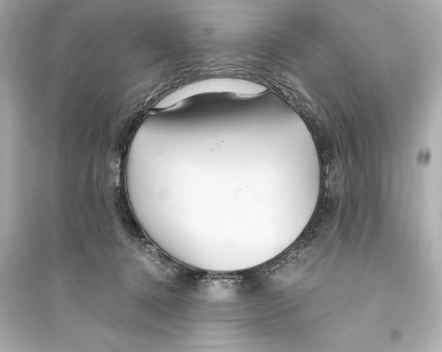 X0000093590368200711121130