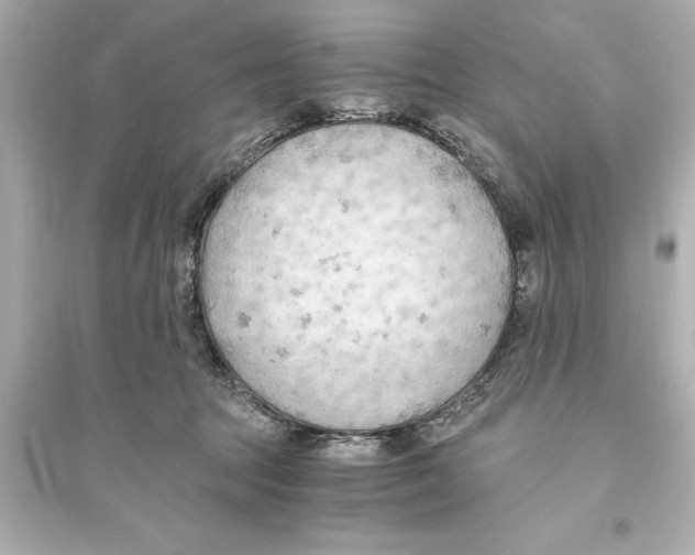 X0000093590369200711121130