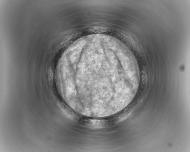 X0000093590371200711121130