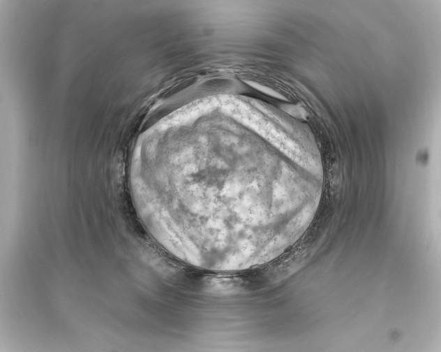 X0000093590372200711121130