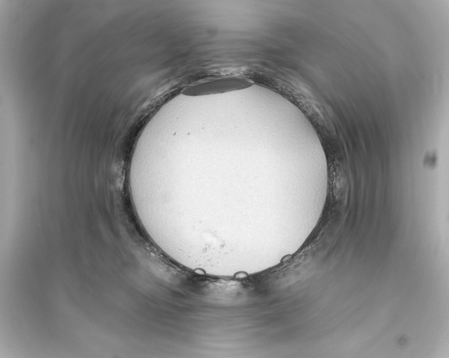 X0000093590374200711121130