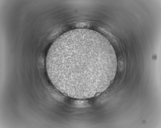 X0000093590375200711121130