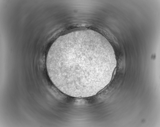 X0000093590376200711121130