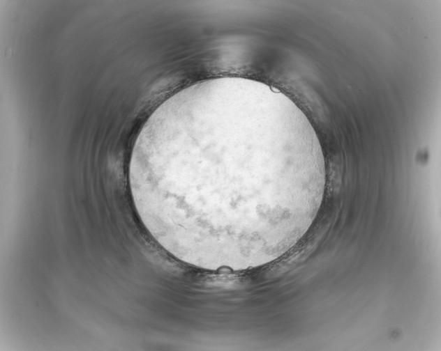 X0000093590377200711121130