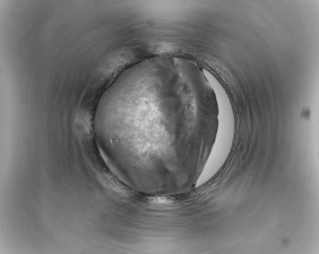 X0000093590380200711121130