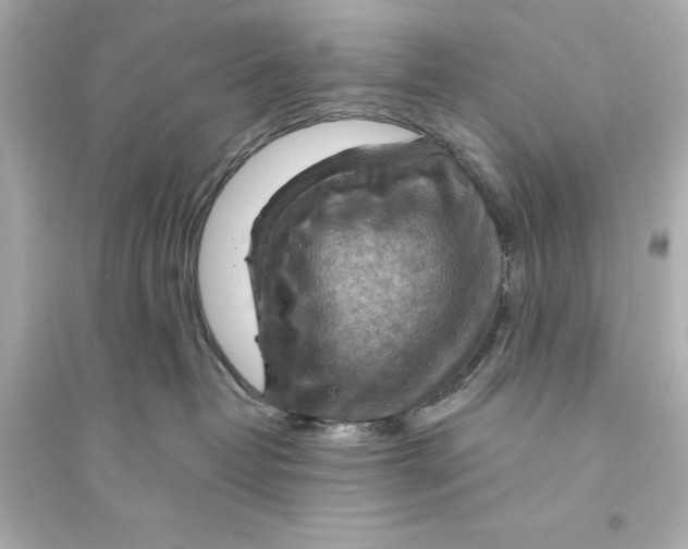 X0000093590382200711121130