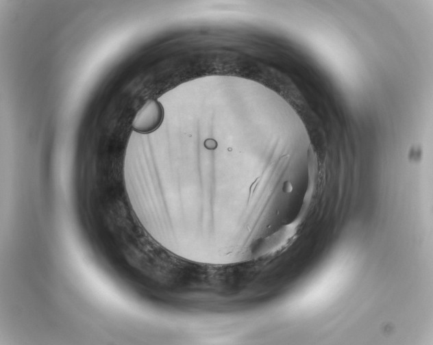 X0000093590383200711121130