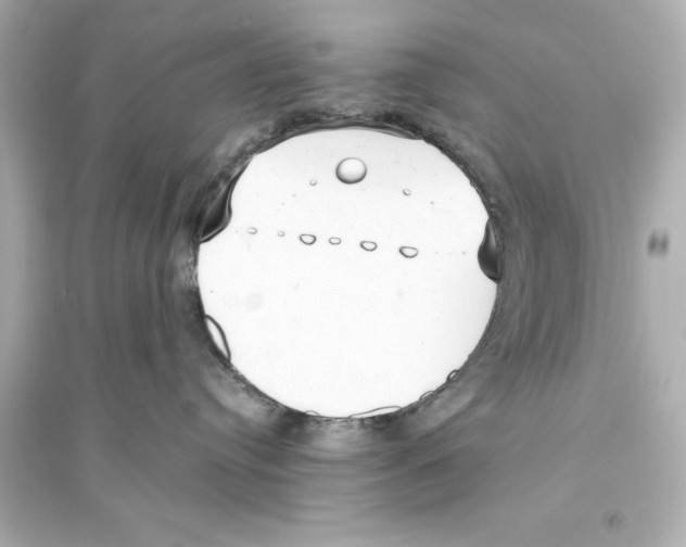 X0000093590384200711121130