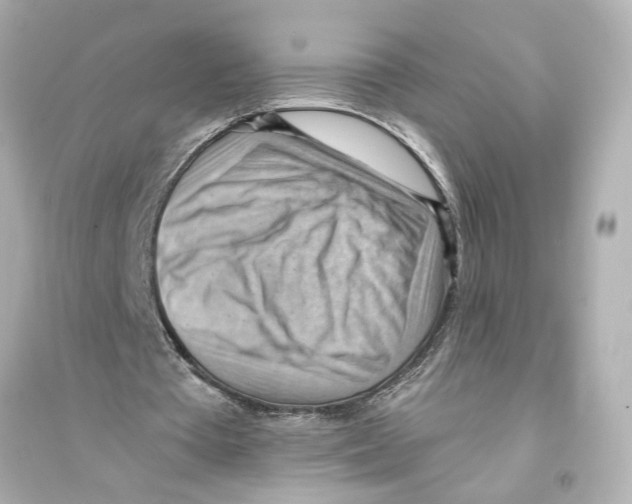X0000093590385200711121130
