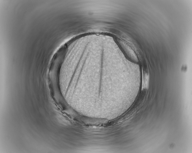 X0000093590387200711121130