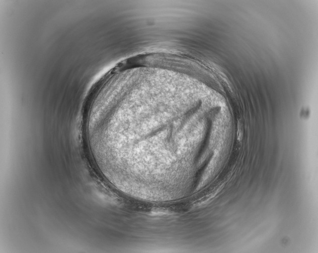 X0000093590388200711121130
