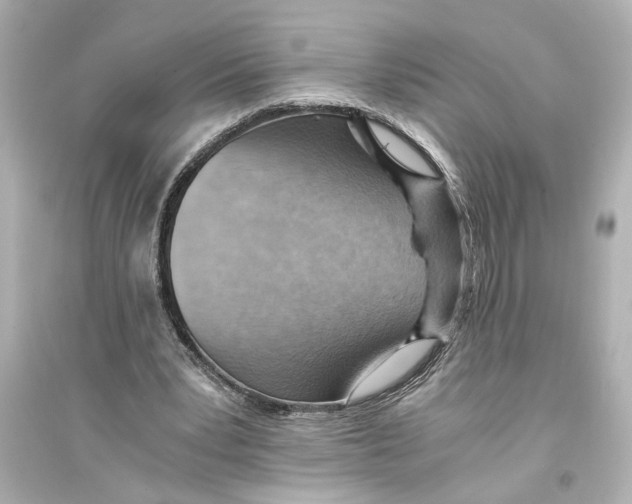 X0000093590391200711121130