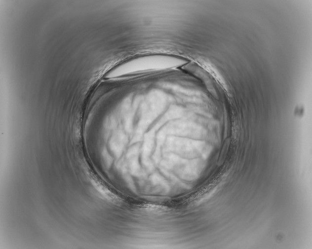 X0000093590393200711121129