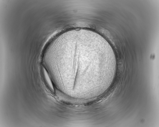 X0000093590395200711121129