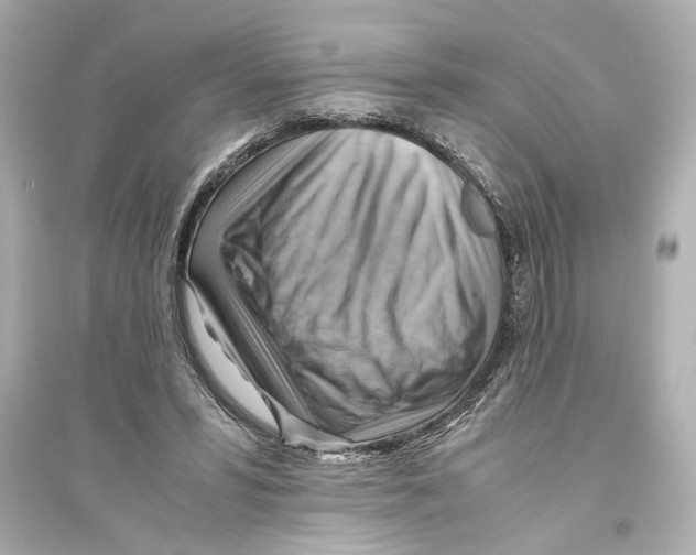 X0000093590399200711121129