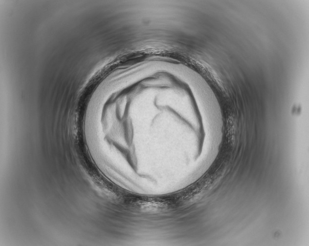 X0000093590400200711121129