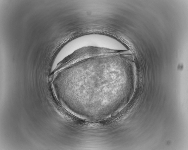 X0000093590401200711121129