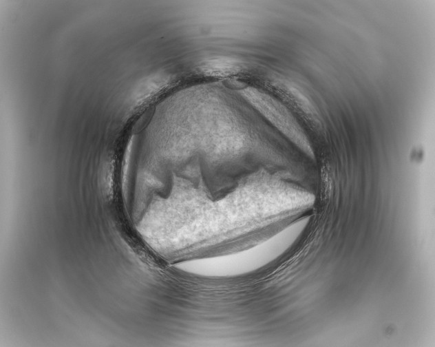 X0000093590404200711121129
