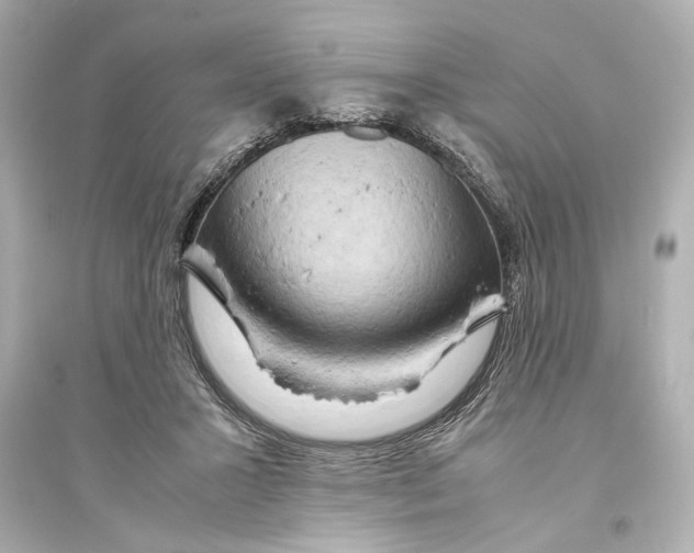 X0000093590407200711121129