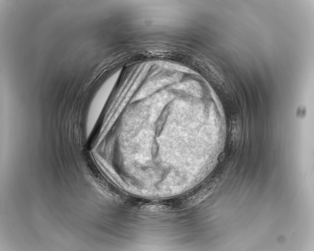 X0000093590408200711121129