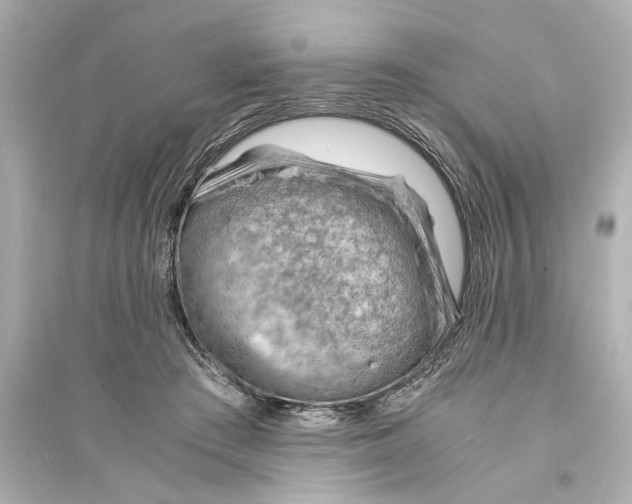 X0000093590409200711121129