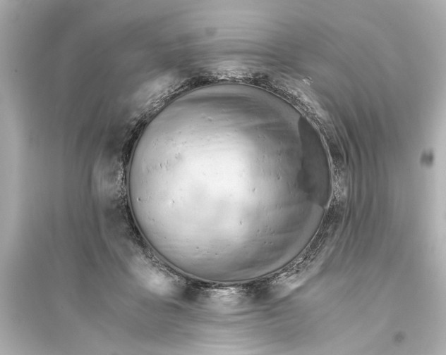 X0000093590411200711121129
