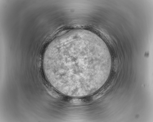 X0000093590413200711121129